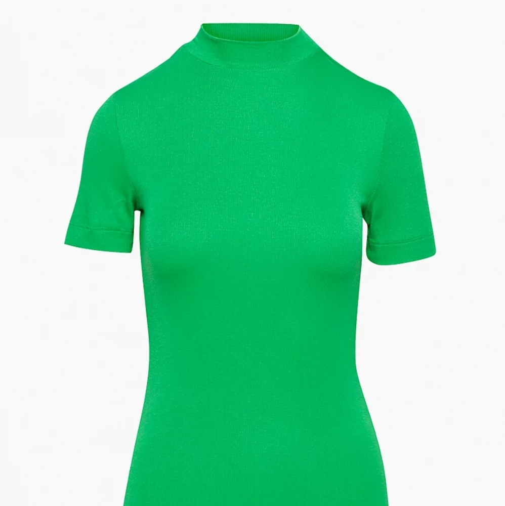 Aritzia Babaton Gonzalo Long Tee